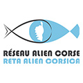 ALIEN-Corse-120